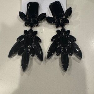 Elegant Black Statement Earrings